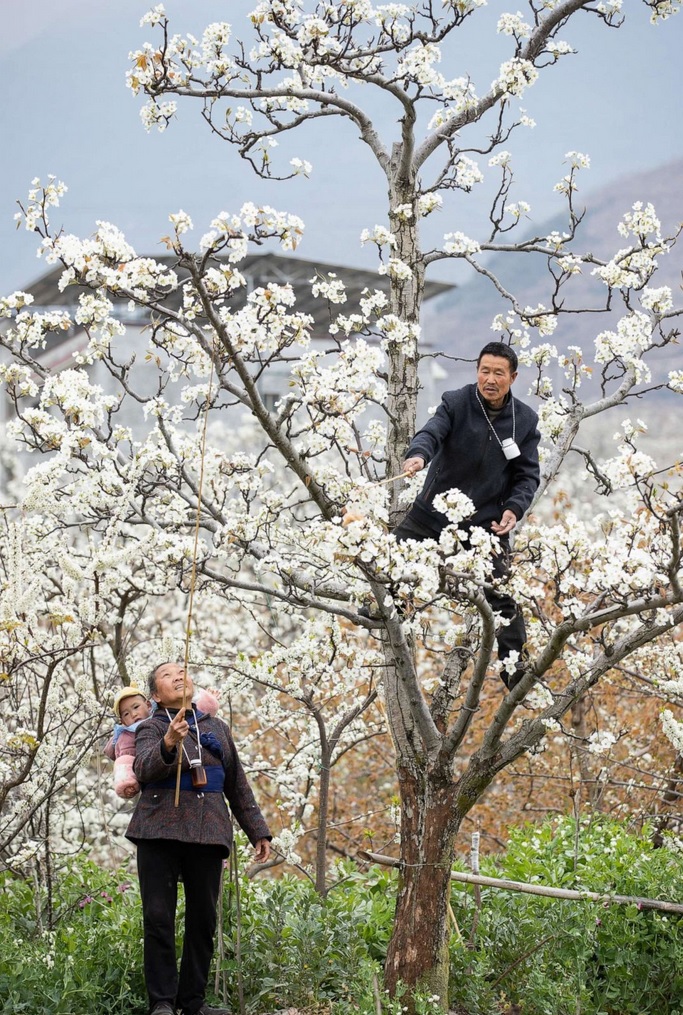 belas paisagens da primavera chinesa