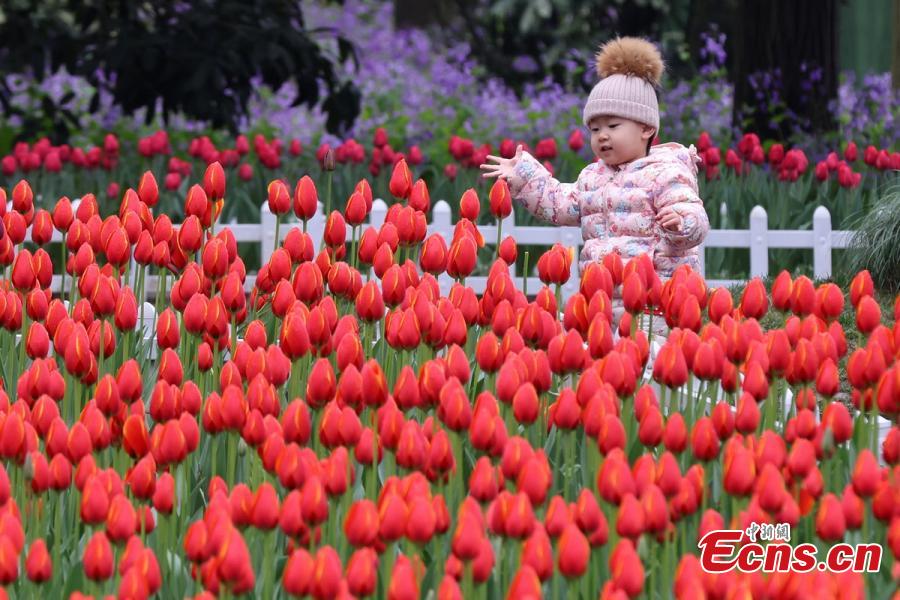 paisagens da primavera na china