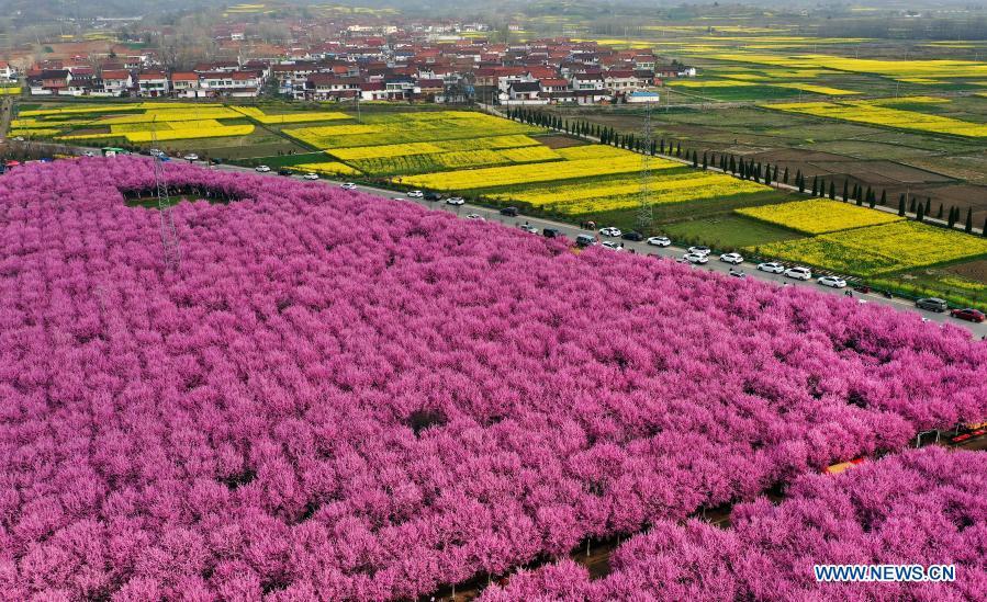 belas paisagens da primvaera chinesa